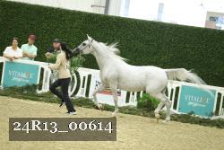 24R13_00614 thumbnail