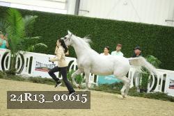 24R13_00615 thumbnail