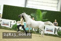 24R13_00616 thumbnail
