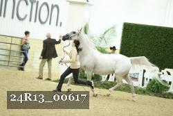 24R13_00617 thumbnail