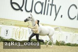 24R13_00619 thumbnail