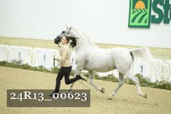 24R13_00623 thumbnail