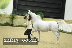 24R13_00624 thumbnail