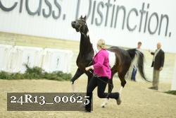 24R13_00625 thumbnail