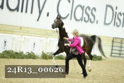 24R13_00626 thumbnail