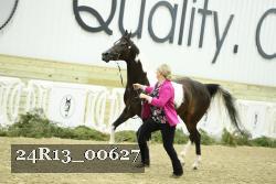 24R13_00627 thumbnail