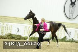 24R13_00629 thumbnail