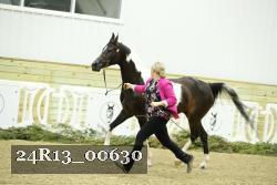 24R13_00630 thumbnail
