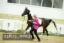 24R13_00631 thumbnail
