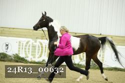24R13_00632 thumbnail