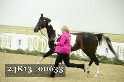 24R13_00633 thumbnail