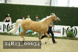24R13_00634 thumbnail