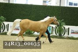 24R13_00635 thumbnail