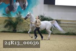 24R13_00636 thumbnail
