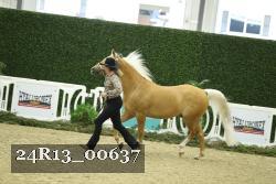 24R13_00637 thumbnail