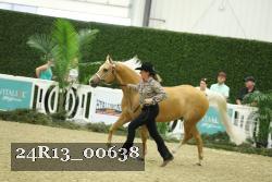 24R13_00638 thumbnail