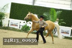 24R13_00639 thumbnail