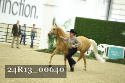 24R13_00640 thumbnail