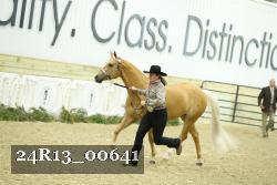 24R13_00641 thumbnail
