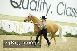 24R13_00642 thumbnail