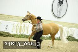 24R13_00643 thumbnail