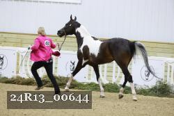 24R13_00644 thumbnail