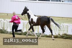 24R13_00645 thumbnail