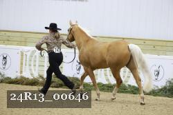 24R13_00646 thumbnail