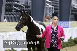 24R13_00648 thumbnail