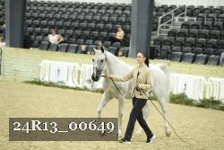 24R13_00649 thumbnail