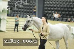 24R13_00651 thumbnail