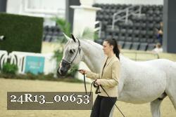 24R13_00653 thumbnail