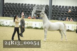24R13_00654 thumbnail