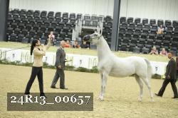 24R13_00657 thumbnail
