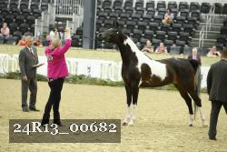 24R13_00682 thumbnail