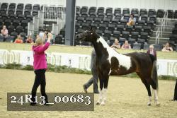 24R13_00683 thumbnail