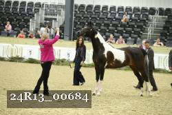 24R13_00684 thumbnail