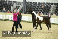 24R13_00685 thumbnail