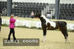 24R13_00686 thumbnail