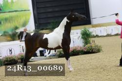 24R13_00689 thumbnail