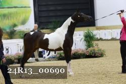 24R13_00690 thumbnail