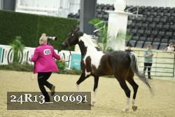 24R13_00691 thumbnail
