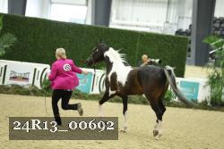 24R13_00692 thumbnail
