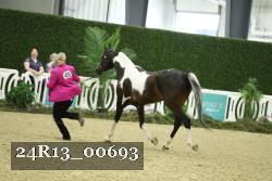 24R13_00693 thumbnail