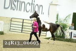 24R13_00695 thumbnail