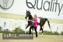 24R13_00696 thumbnail