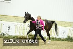 24R13_00699 thumbnail