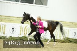 24R13_00700 thumbnail