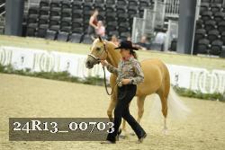 24R13_00703 thumbnail