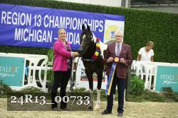 24R13_00733 thumbnail